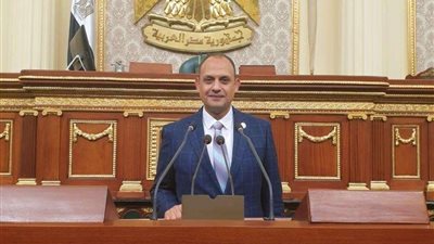 أول تحرك برلماني لإنشاء قناطر جديدة في فرع النيل برشيد محافظة البحيرة