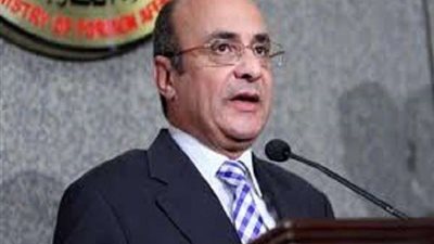 عمر مروان يكشف موقف مصر من المعاهدات الدولية لعقوبة الإعدام