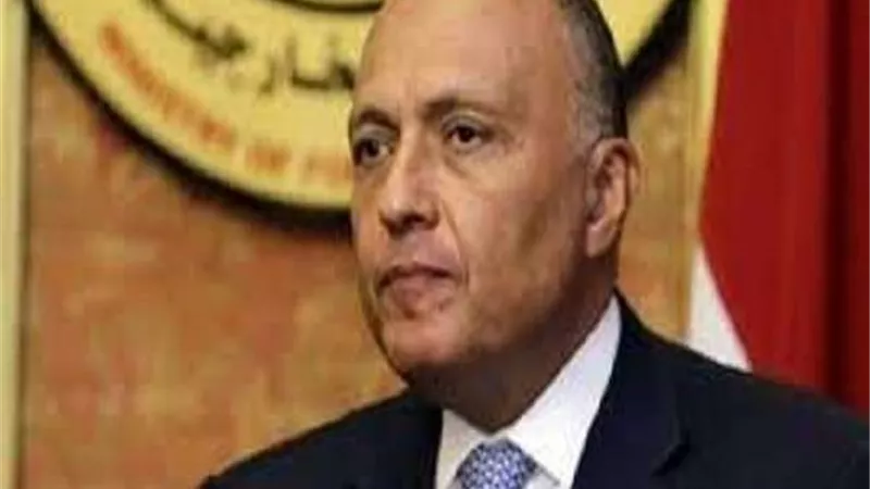 شكري يؤكد ضرورة عقد الانتخابات الليبية في موعدها