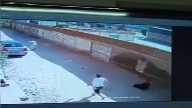 ضربتها في طابور الصباح.. تفاصيل اعتداء ولية أمر على معلمة بطوخ
