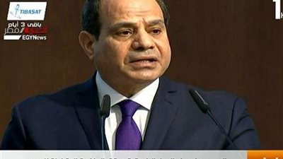 نص كلمة الرئيس السيسي خلال القمة غير الرسمية للاستثمار في أفريقيا