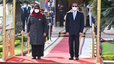 رئيسة تنزانيا: توقيع عقود بناء محطات الطاقة مع مصر