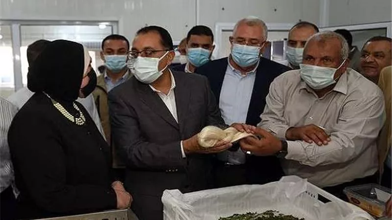 رئيس الوزراء يتفقد مشروع واحة الحرير ومجمع الصوب الزراعية