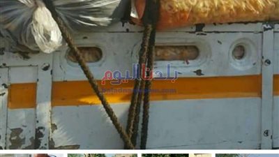 مباحث التموين تضبط 12 منشأة بدون ترخيص في حملة تموينية