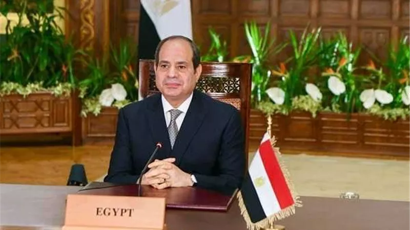 الرئيس لوزيرة الجيوش الفرنسية: مكافحة الإرهاب تتطلب التنسيق الجماعى