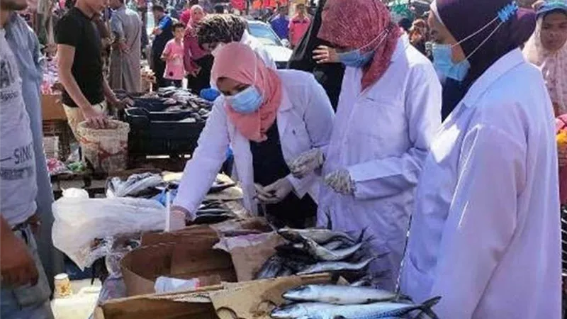 بيطري الشرقية: ضبط 54 كجم لحوم و 100كجم أسماك مخالفة لمراكز المدن