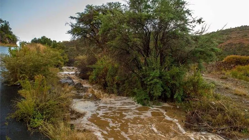 أمطار غزيرة صباح اليوم على منطقة عسير بالسعودية