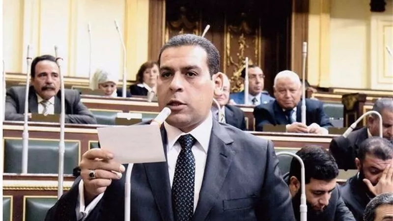 برلماني: الصعيد شهد جهدًا ملموسًا في خدمات البنية التحتية