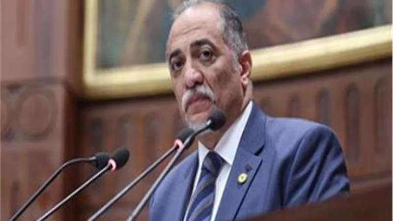 رئيس لجنة التضامن: مصر أخرست المنظمات المشبوهة.. والملف الحقوقي يحظى باهتمام الإرادة السياسية