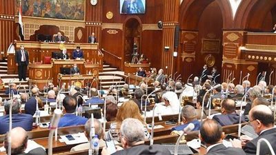 مجلس الشيوخ: مشروع القانون يتعاطى بايجابية مع استراتيجية 2030