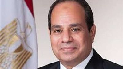 السيسي يلتقي رئيس شركة 