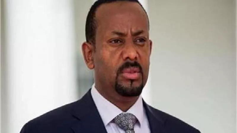 الجيش الإثيوبي يزعم قضاءه على قوات تيجراي