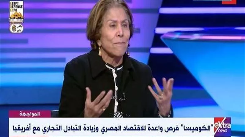 الشوباشي: قمة الكوميسا تمثل الامل للقارة الافريقية