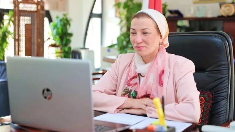 البيئة تستعد لتنظيم مصر لمؤتمر 