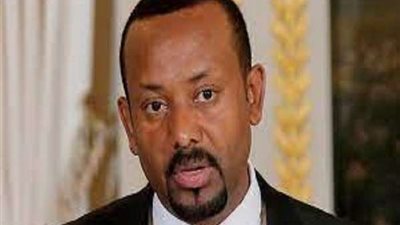 الولايات المتحدة تحذر: لا حل عسكريا للنزاع في إثيوبيا