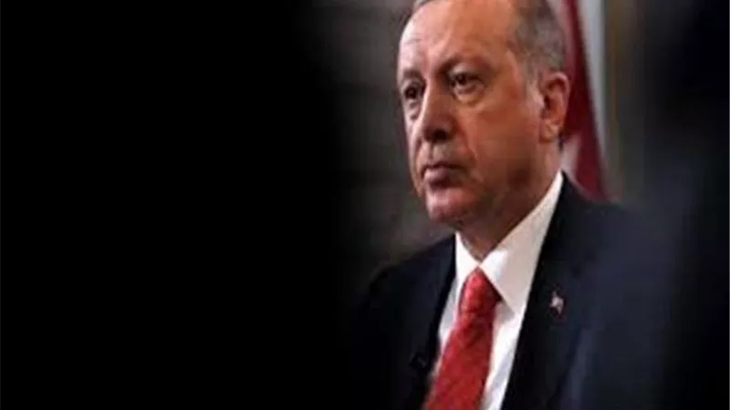 مصر قائدة العرب.. كاتب تركي ينتقد سياسة أردوغان تجاه الدول العربية