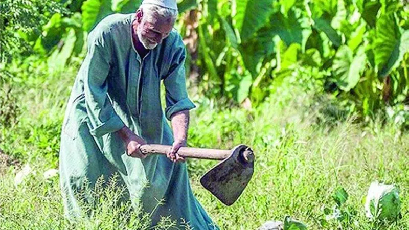 اجتماعاً تنسيقياً لمناقشة الإجراءات المنظمة لإنتخابات مجالس إدارة الجمعيات التعاونية الزراعية بالمنوفية
