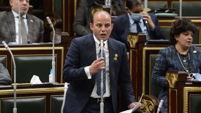 النائب عمرو القطامي: الواحات البحرية تعاني من عدم وجود تغطية لشبكات المحمول