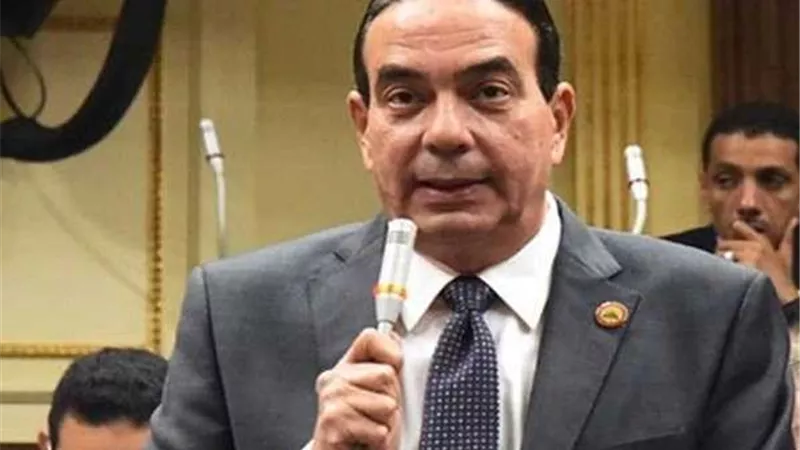 النائب أيمن أبو العلا يطالب بحصر رسمي ودقيق للمصريين بالخارج