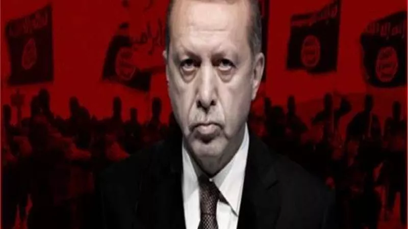 برلماني: التحركات التركية في المنطقة هدفها السيطرة على البترول والغاز