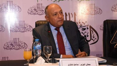 سامح شكري يُجري اتصالاً هاتفياً مع نظيره الإماراتي