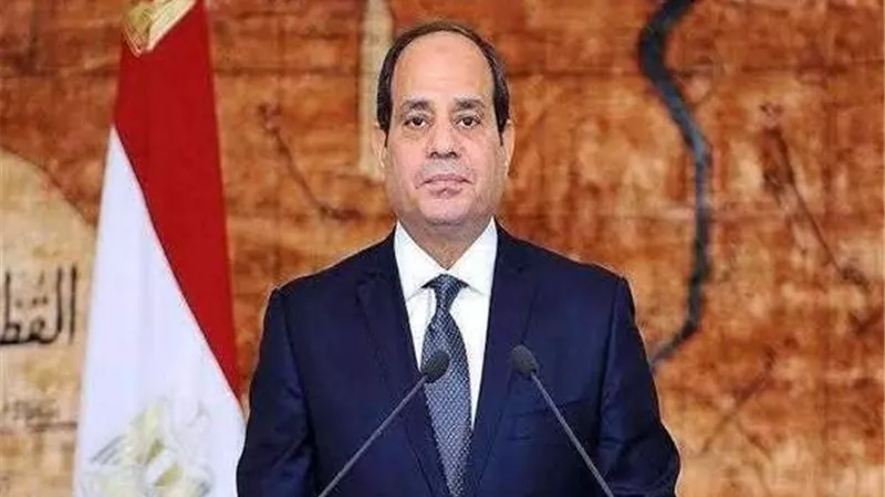 اليوم.. الرئيس السيسي يستقبل رئيس حكومة إسبانيا بقصر الاتحادية