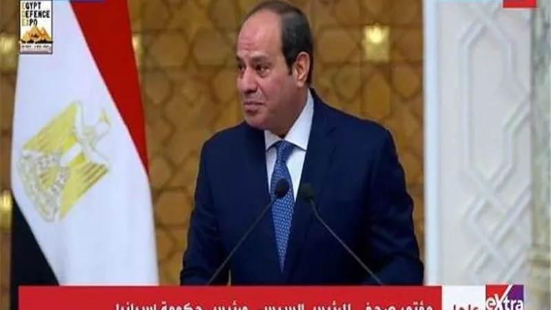 الرئيس السيسى يشيد بالتعاون المصرى الإسبانى فى العديد من المشروعات الاستثمارية والتنموية