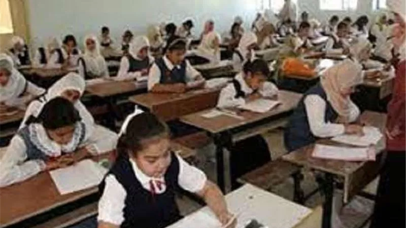 تامر سمير: تدريب 2400 فريق بالتنسيق مع وزارة التربية والتعليم