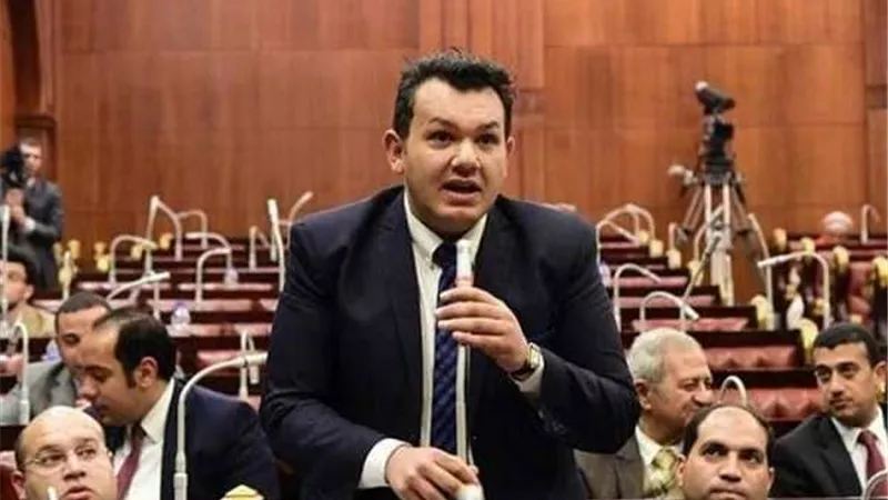 عضو بالنواب: مادة ازدراء الأديان لم يتم تنفيذها منذ تشريعها