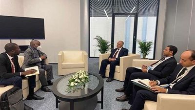 وزير الري يلتقى وزراء المياه بدول الجزائر وأوغندا وأنجولا وسيراليون