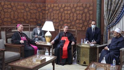 شيخ الأزهر: لن يستقر العالم باقتصاد السلاح وإشعال الحروب وإنما بالأخوة والحوار