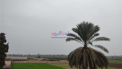 الأرصاد تكشف حالة الطقس الغير مستقرة اليوم ... العظمى بالقاهرة 21 درجة