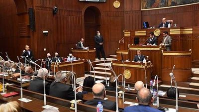 رئيس مجلس الشيوخ يرفع الجلسة بعد قيام ممثل نقابة المحامين بتفجير مفاجأه صادمه لـ سامح عاشور