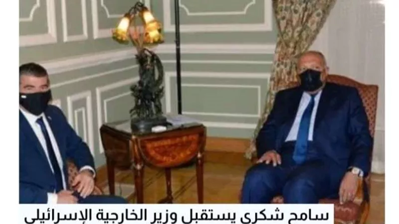 سامح شكري يستقبل وزير الخارجية الإسرائيلي.. غدًا