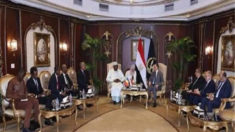 وزير الداخلية يستقبل وفدا أمنيا من تشاد لتبادل التعاون