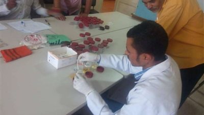 النيابة تطلب تقرير المعمل الكيميائي عن المواد المضبوطة مع عاطل بولاق