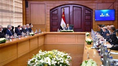 الرئيس يجتمع بالمجلس الأعلى للجامعات بمقر جامعة كفر الشيخ
