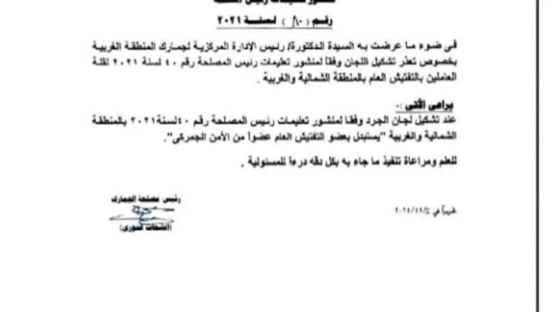 الجمارك تصدر تعليمات بشأن لجان الجرد بالمناطق الحرة والتصالح في قضايا التهريب