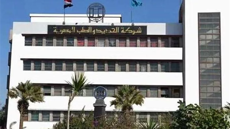 الرقابة المالية تلغي العمليات المنفذة على أسهم «الحديد والصلب»
