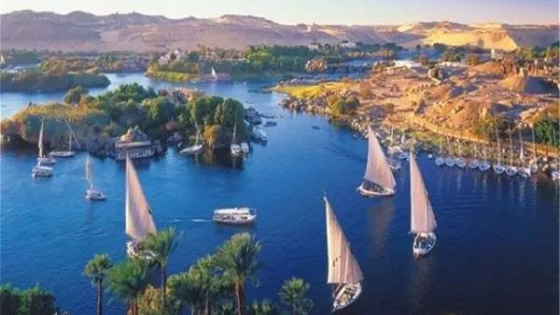 قبل انطلاق منتدى السلام الدولي.. أسوان 