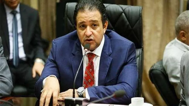 في اليوم العالمي لحقوق الإنسان.. برلماني يطالب بمواجهة الصراعات والنزاعات الدولية