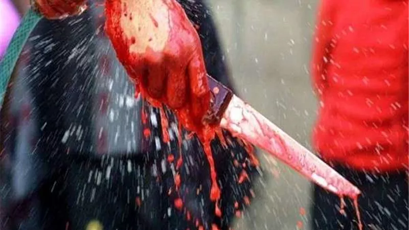أم تقتل طفليها بإحدى قرى مركز شربين بالدقهلية لرغبتها في الطلاق