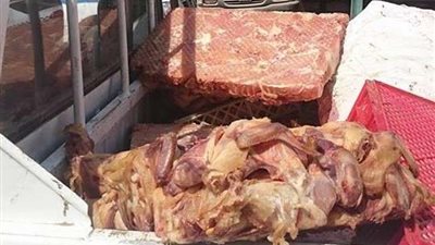 مباحث التموين تضبط 3 أطنان دواجن فاسدة داخل مجزر غير مرخص بالجيزة