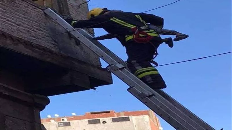 الحماية المدنية تنقذ أسرة من الموت بالإسكندرية