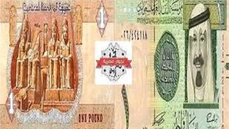 سعر الجنيه المصري امام الريال السعودي اليوم الاثنين 3-1-2022