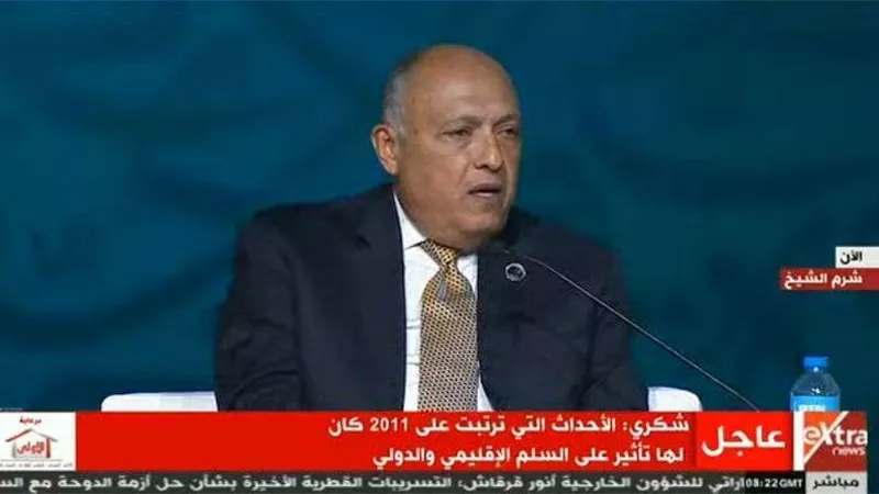 شكري: بعض الكيانات استغلت أوضاع الدول العربية للاستفادة من نفوذ الإرهاب