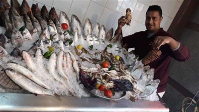ضبط 3 طن كبدة وأسماك غير صالحة للاستهلاك الآدمي بثلاجة في قليوب