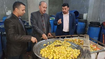ضبط 6 طن مخللات فاسدة وغير صالحة للاستخدام الآدمي بالقليوبية