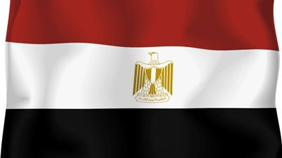 العالم يشيد بالجهود المصرية في مجال مكافحة الإرهاب