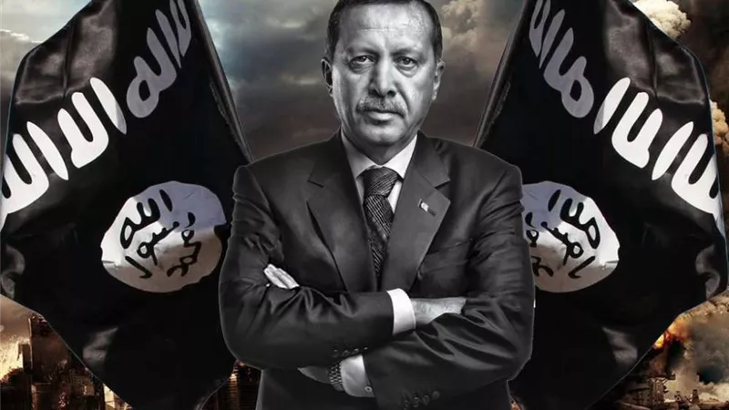 خبيرعسكري: أردوغان يتحدث بلغة الإخوان
